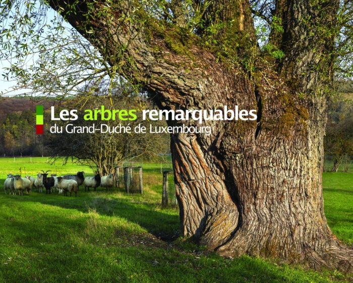 Les Arbres remarquables